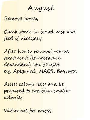 This month in the apiary