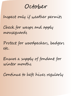 This month in the apiary