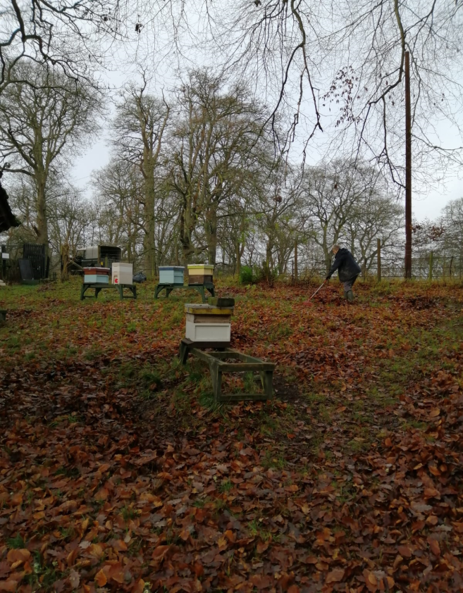 Montgomeryshire Beekeepers Association image