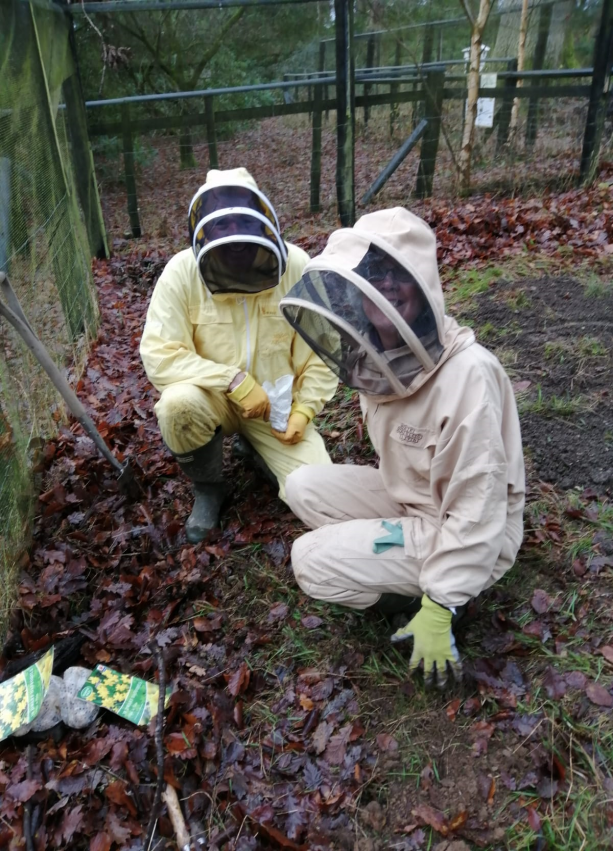 Montgomeryshire Beekeepers Association image